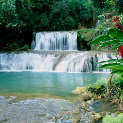 YS Falls & Appleton Rum Factory Combo Tour Package